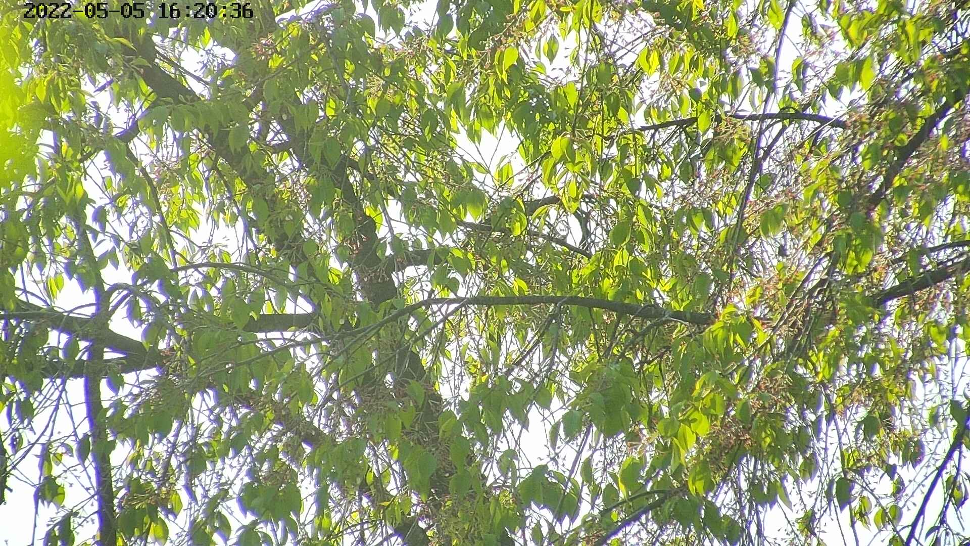area3-20220505162038.jpg