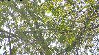 area3-20220505163037.jpg