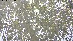area3-20220505170036.jpg