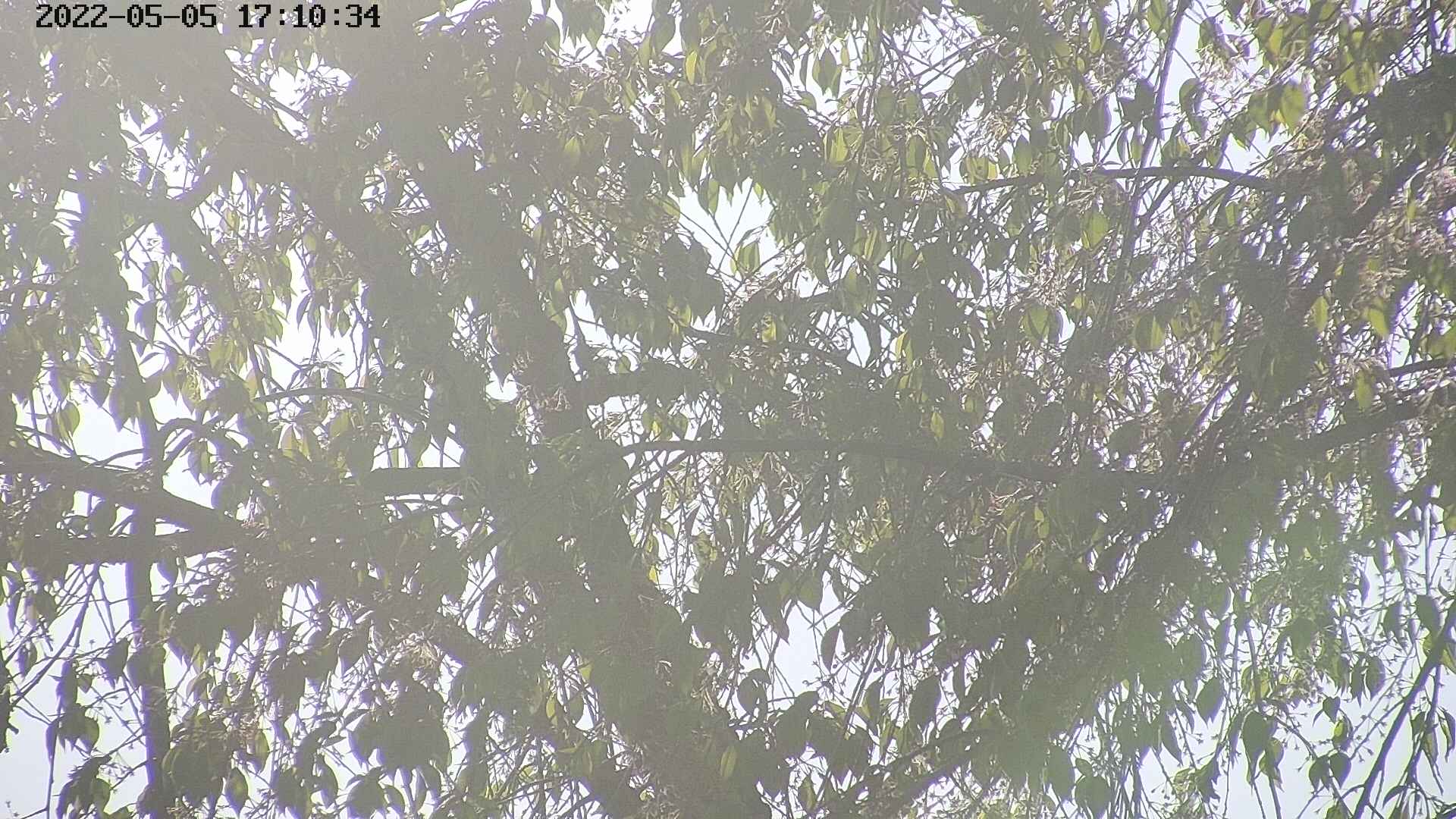 area3-20220505171036.jpg
