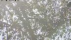 area3-20220505171036.jpg