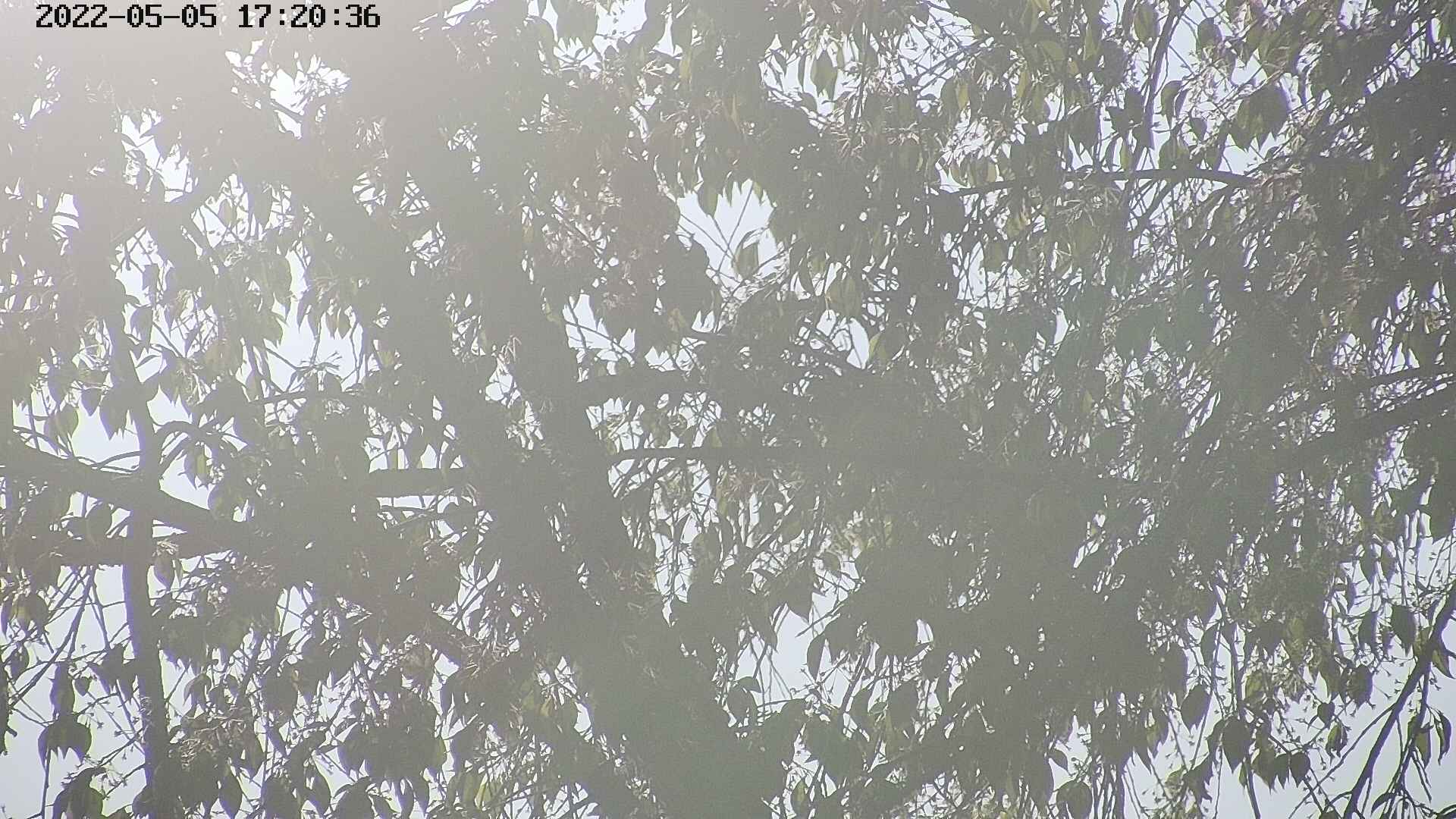 area3-20220505172037.jpg