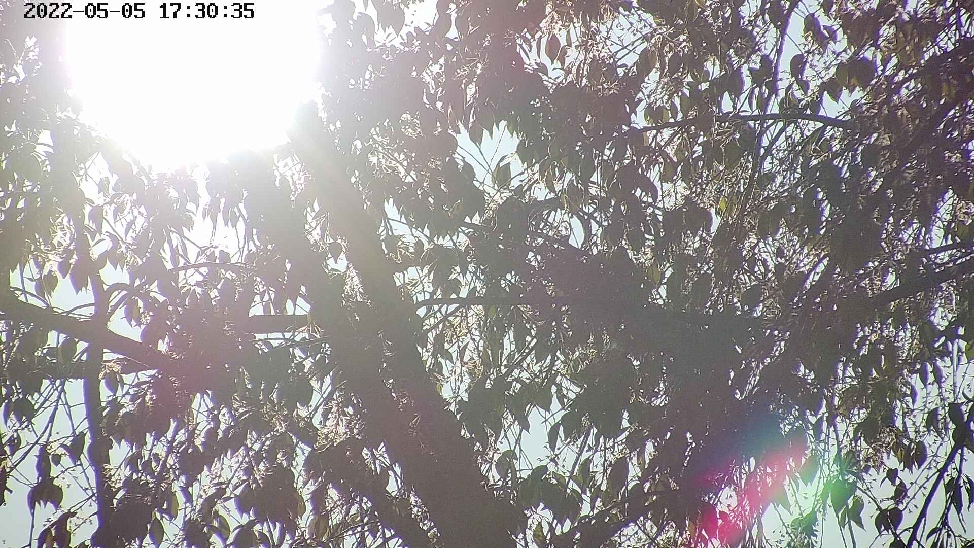 area3-20220505173036.jpg