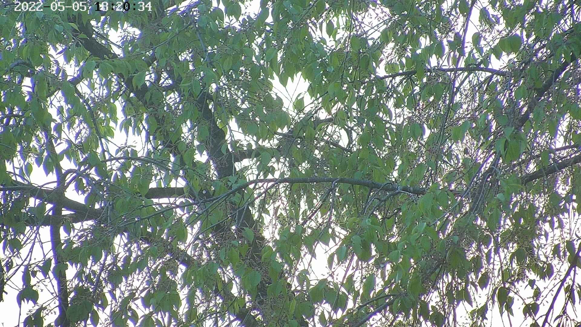 area3-20220505182036.jpg