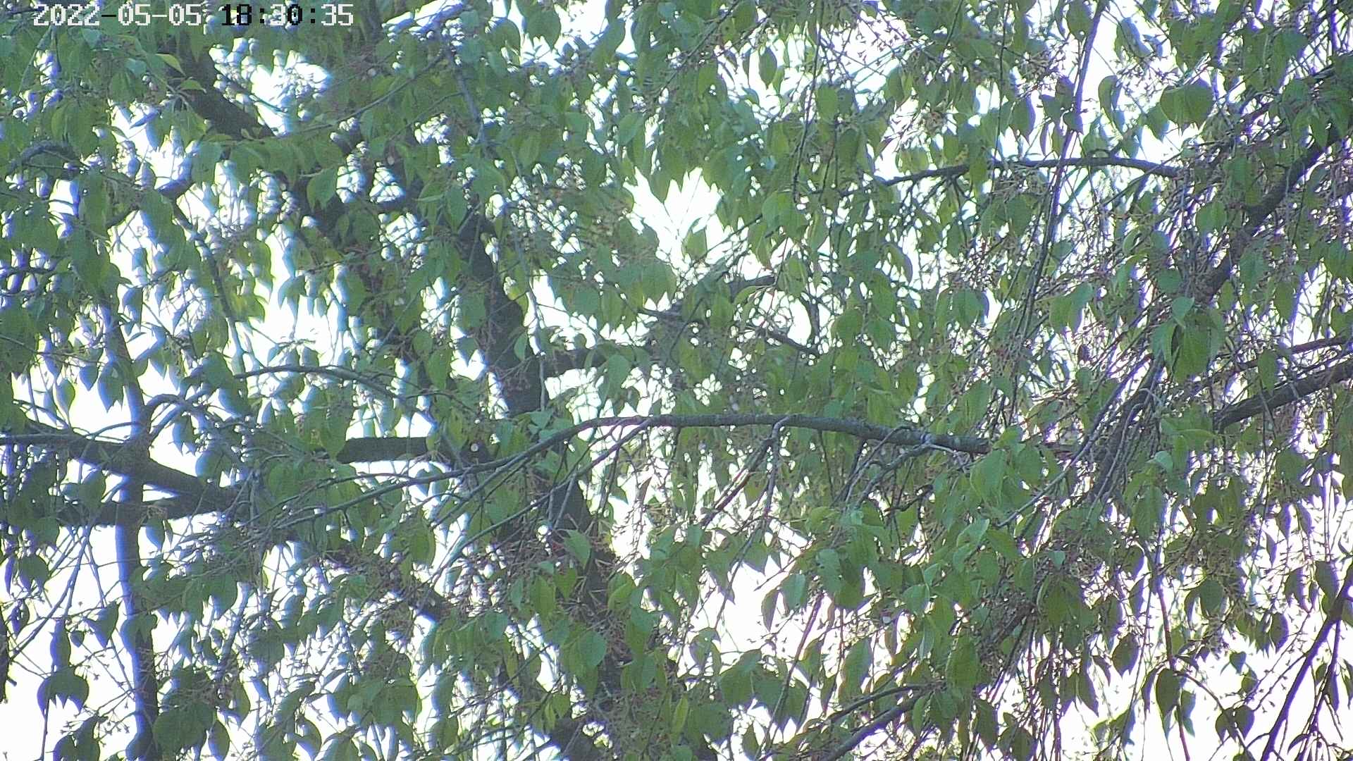 area3-20220505183037.jpg