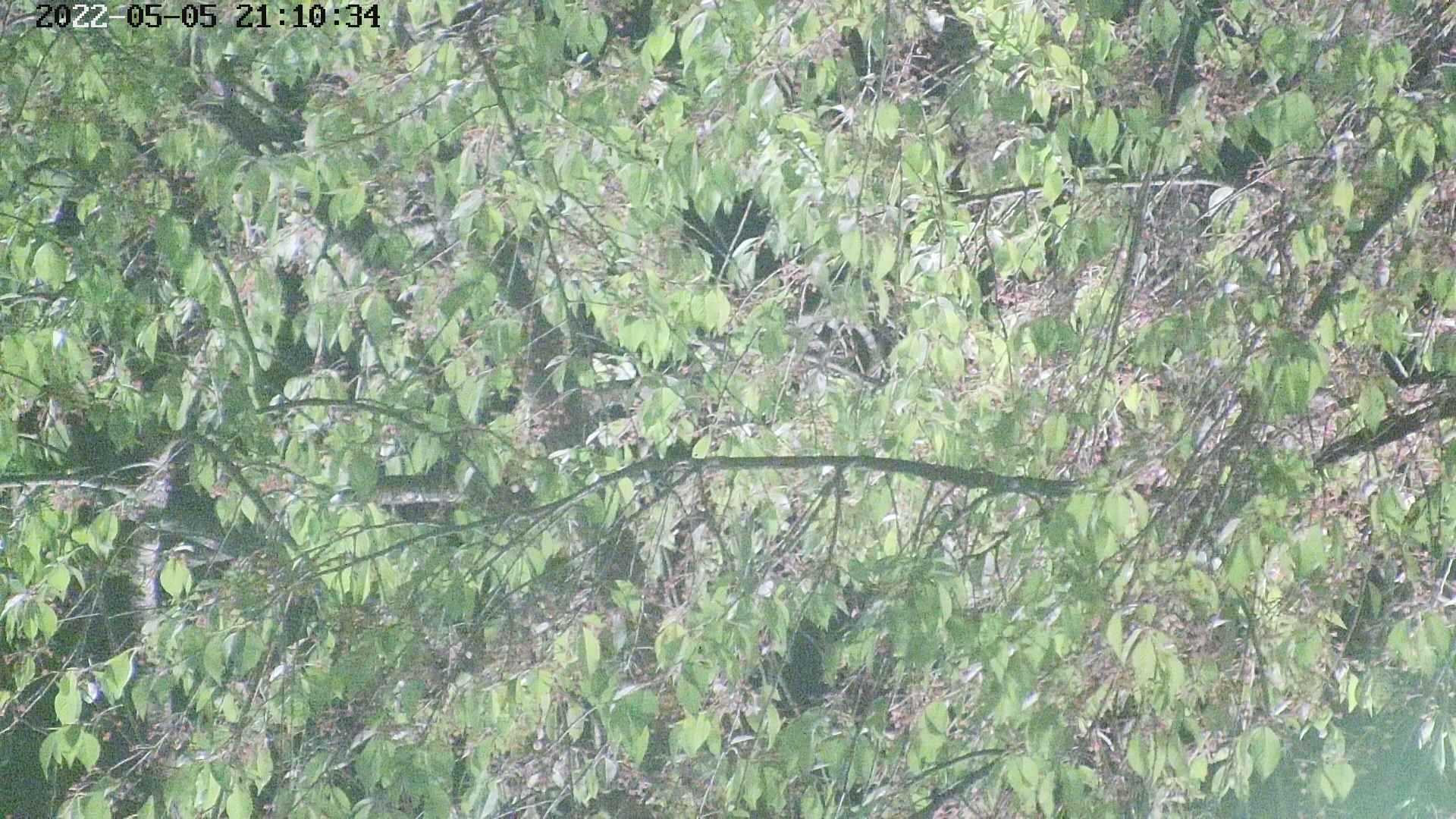 area3-20220505211036.jpg