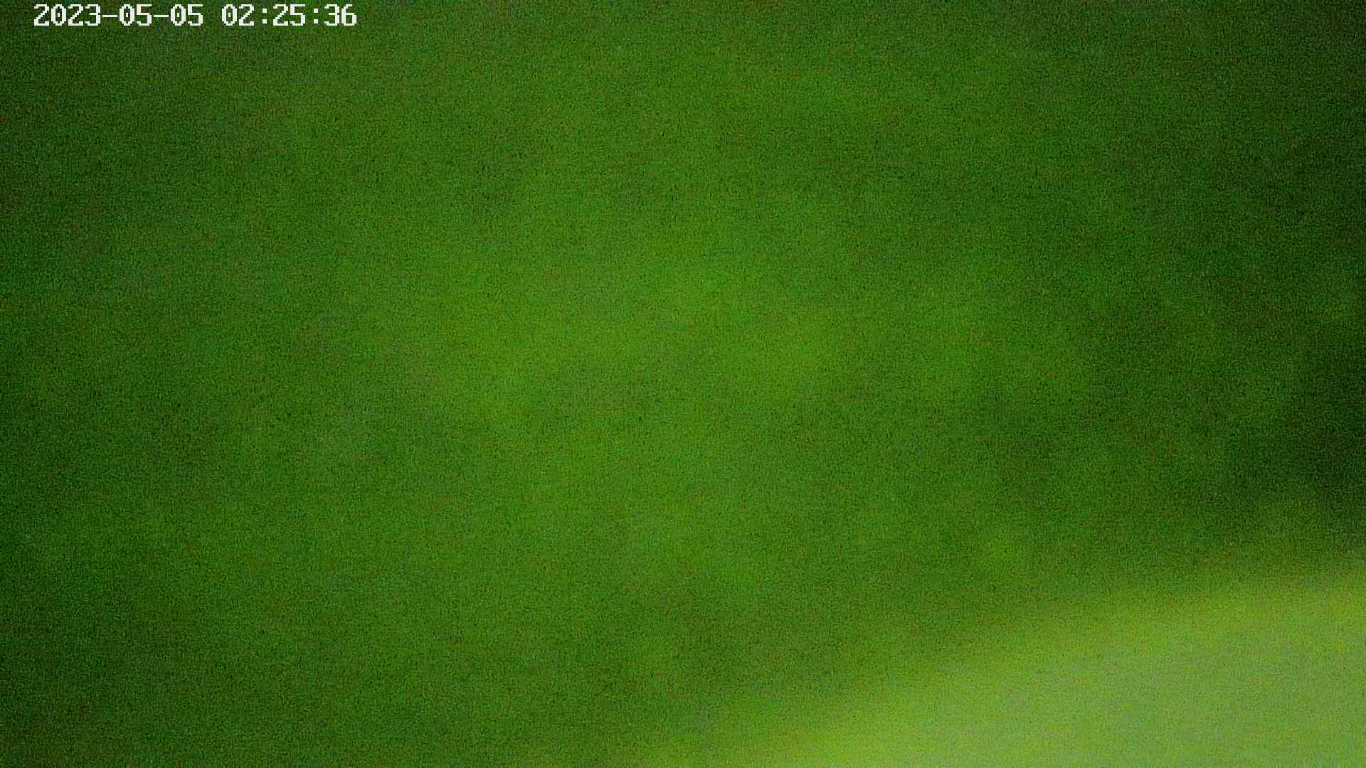 area3-20230505022538.jpg