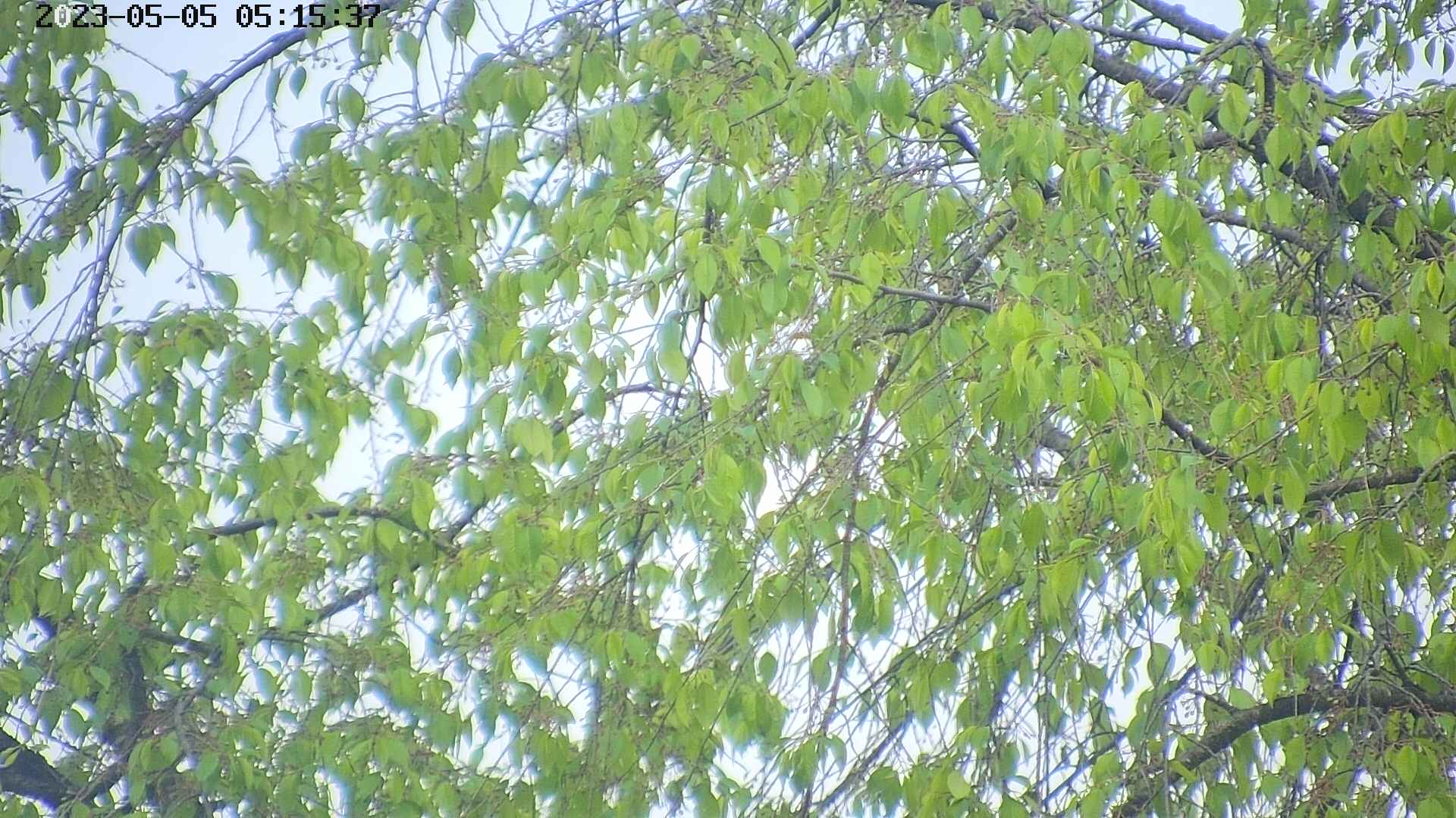 area3-20230505051540.jpg