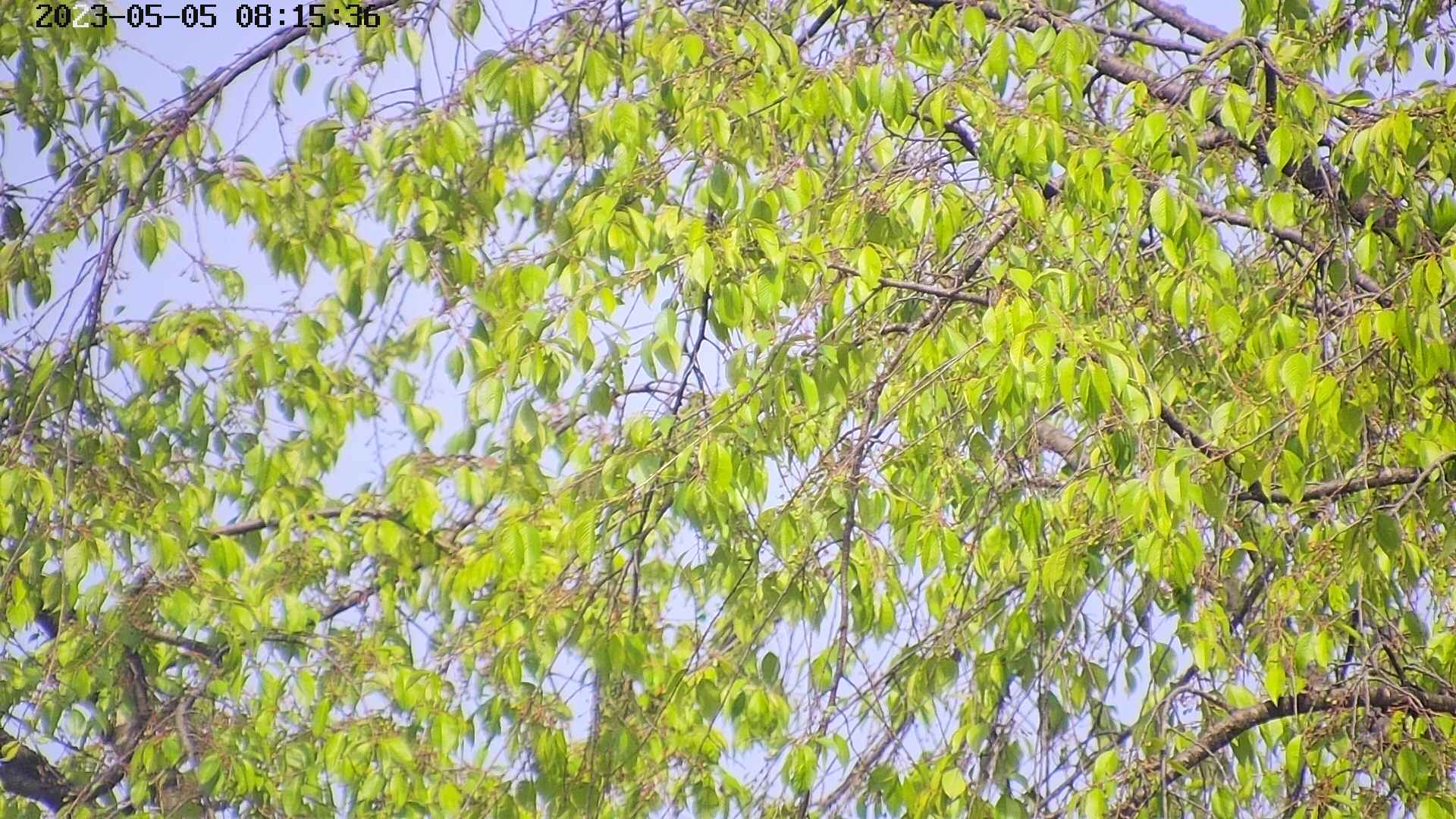 area3-20230505081539.jpg