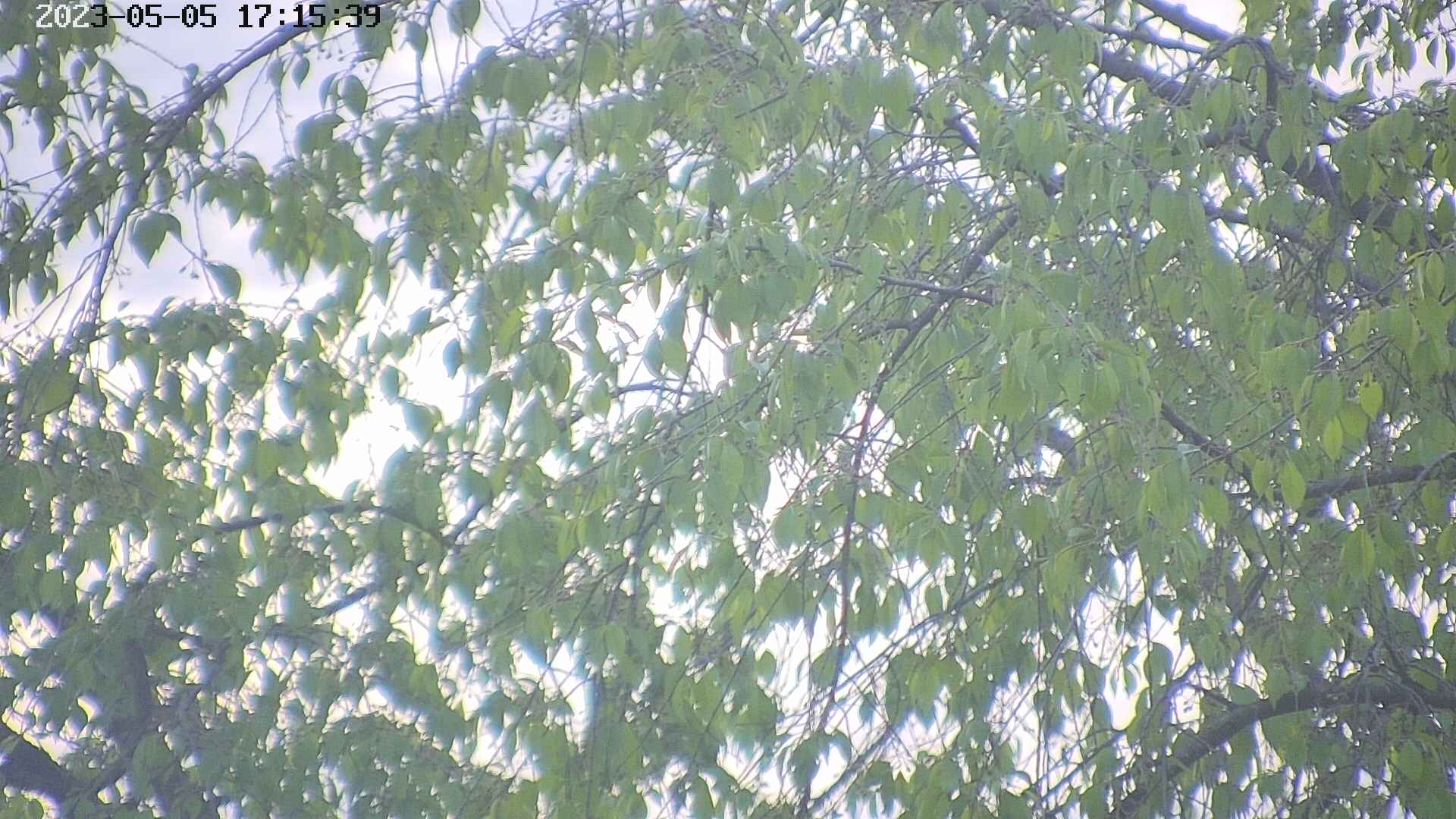 area3-20230505171540.jpg