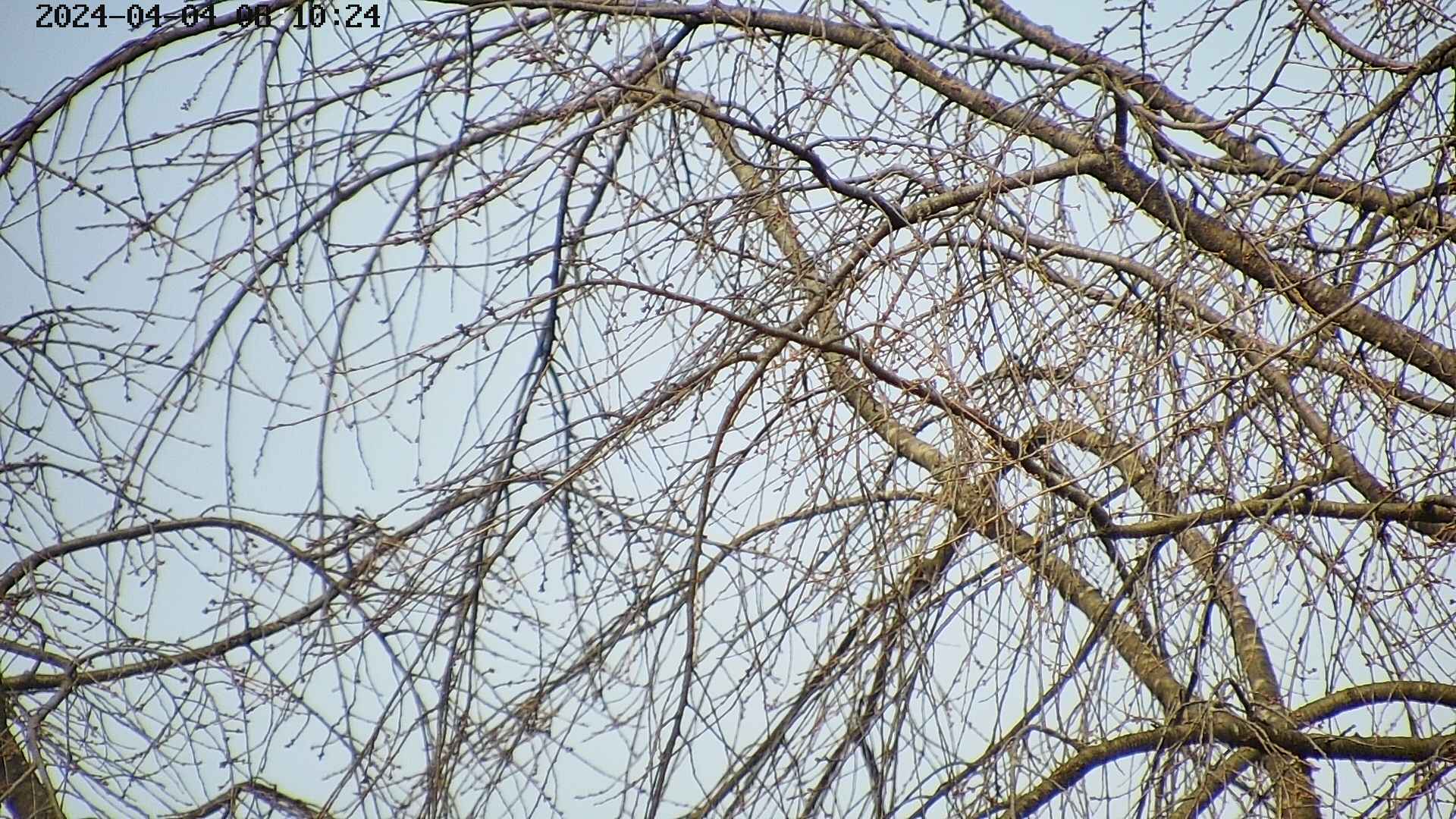 area3-20240404081028.jpg
