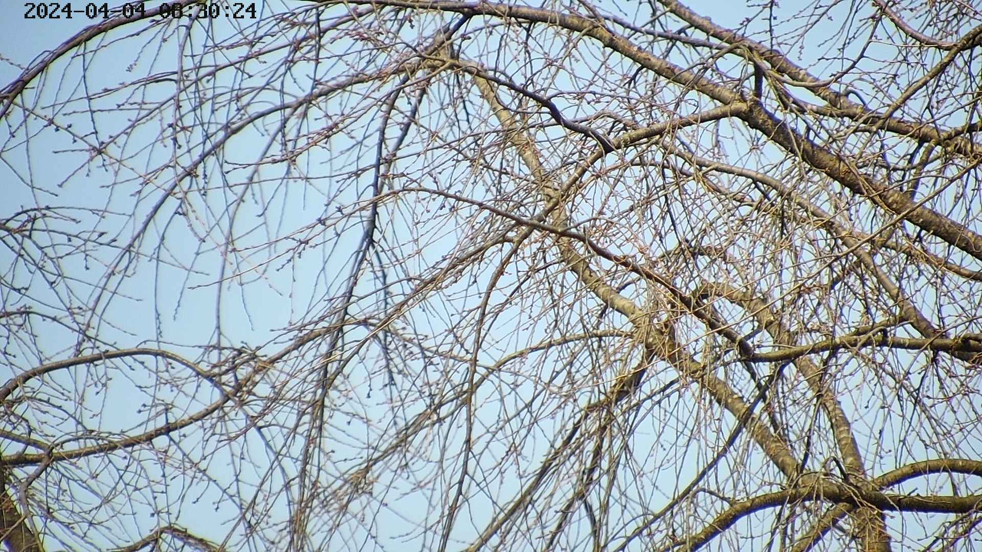 area3-20240404083028.jpg