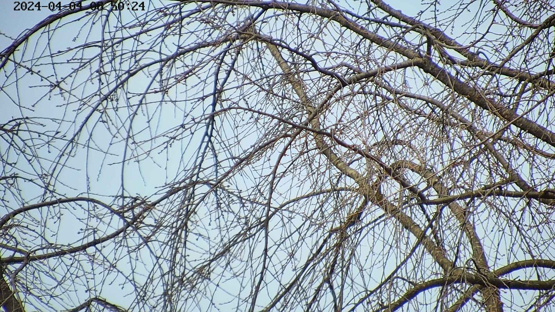 area3-20240404085027.jpg