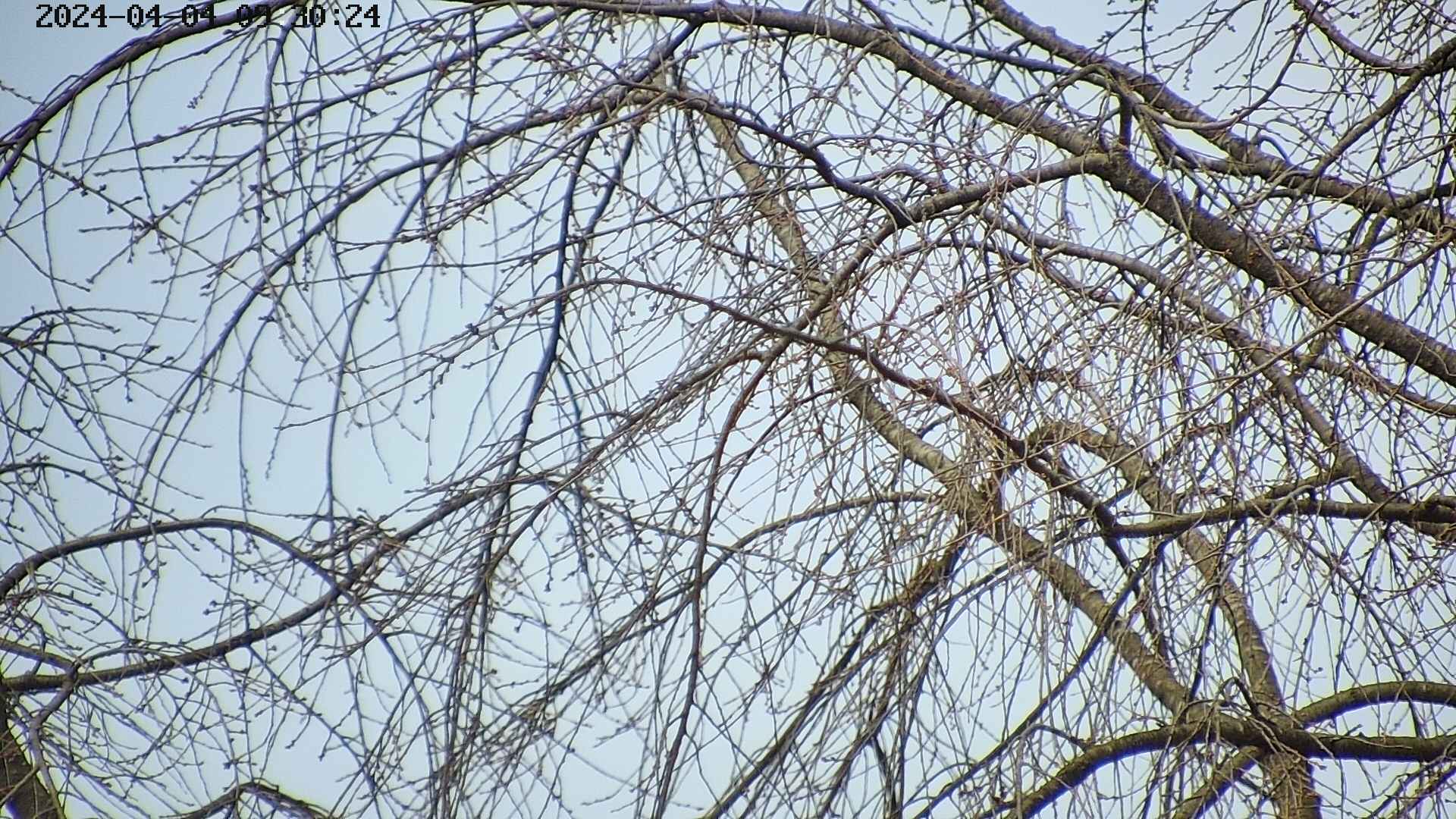 area3-20240404093028.jpg