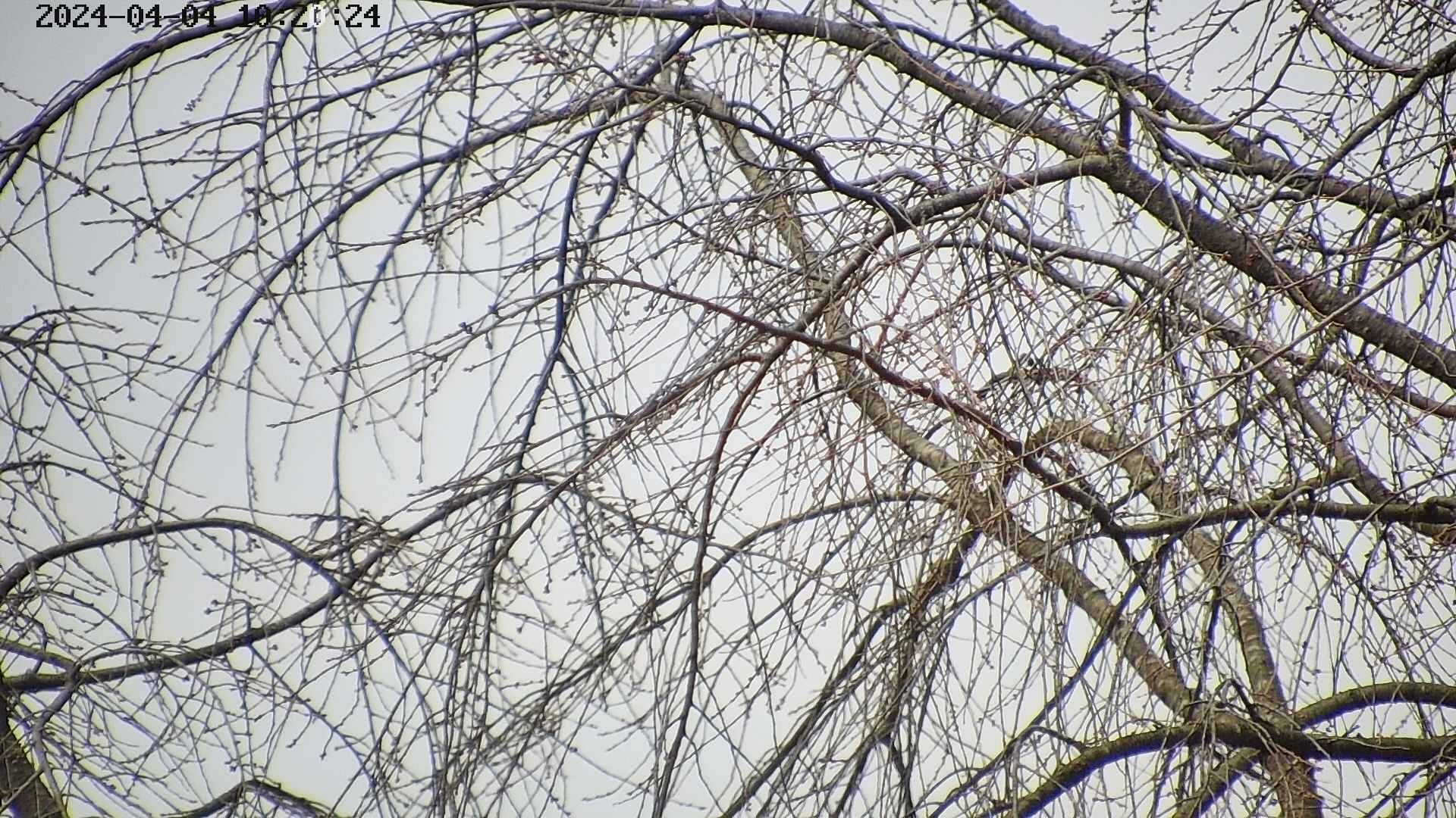 area3-20240404102028.jpg