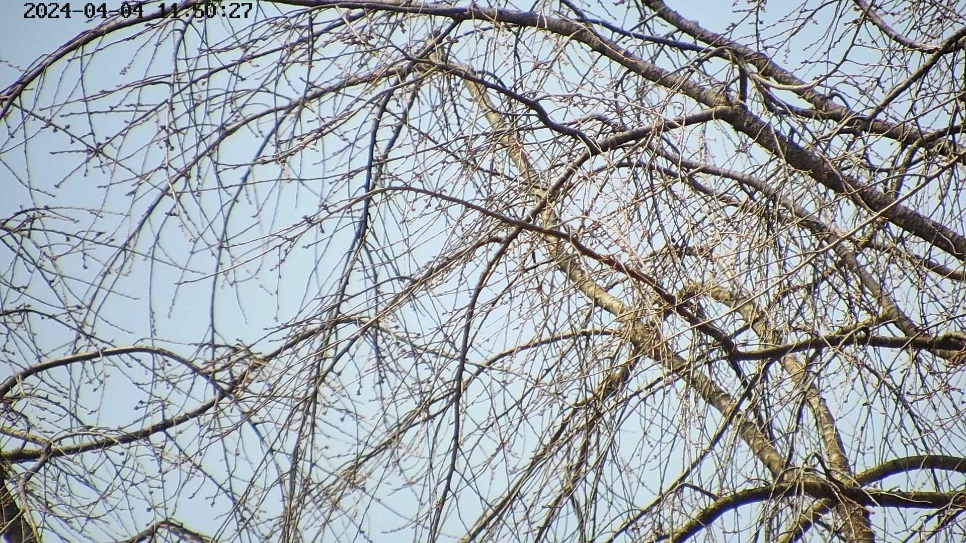 area3-20240404115027.jpg