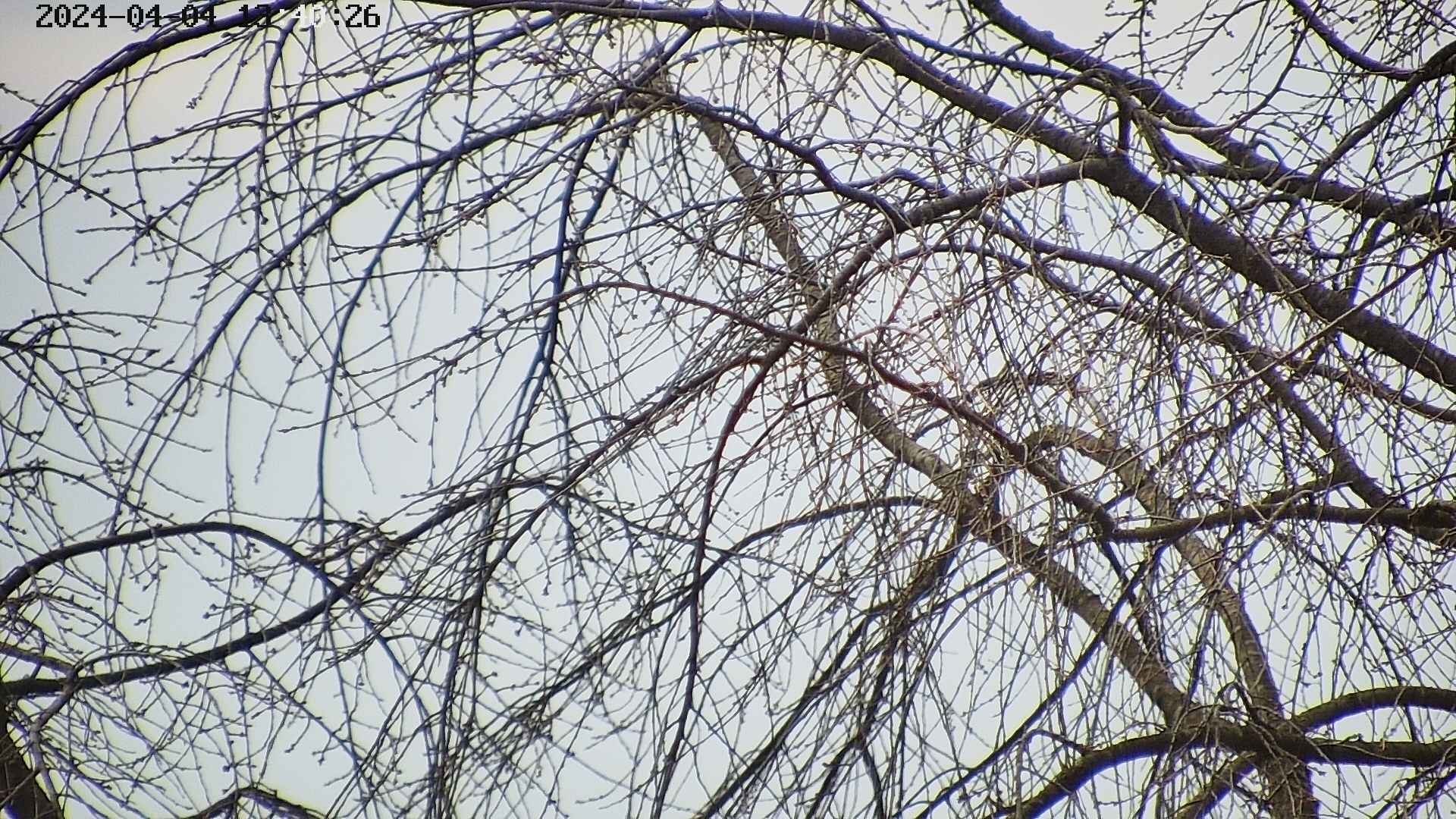 area3-20240404134027.jpg