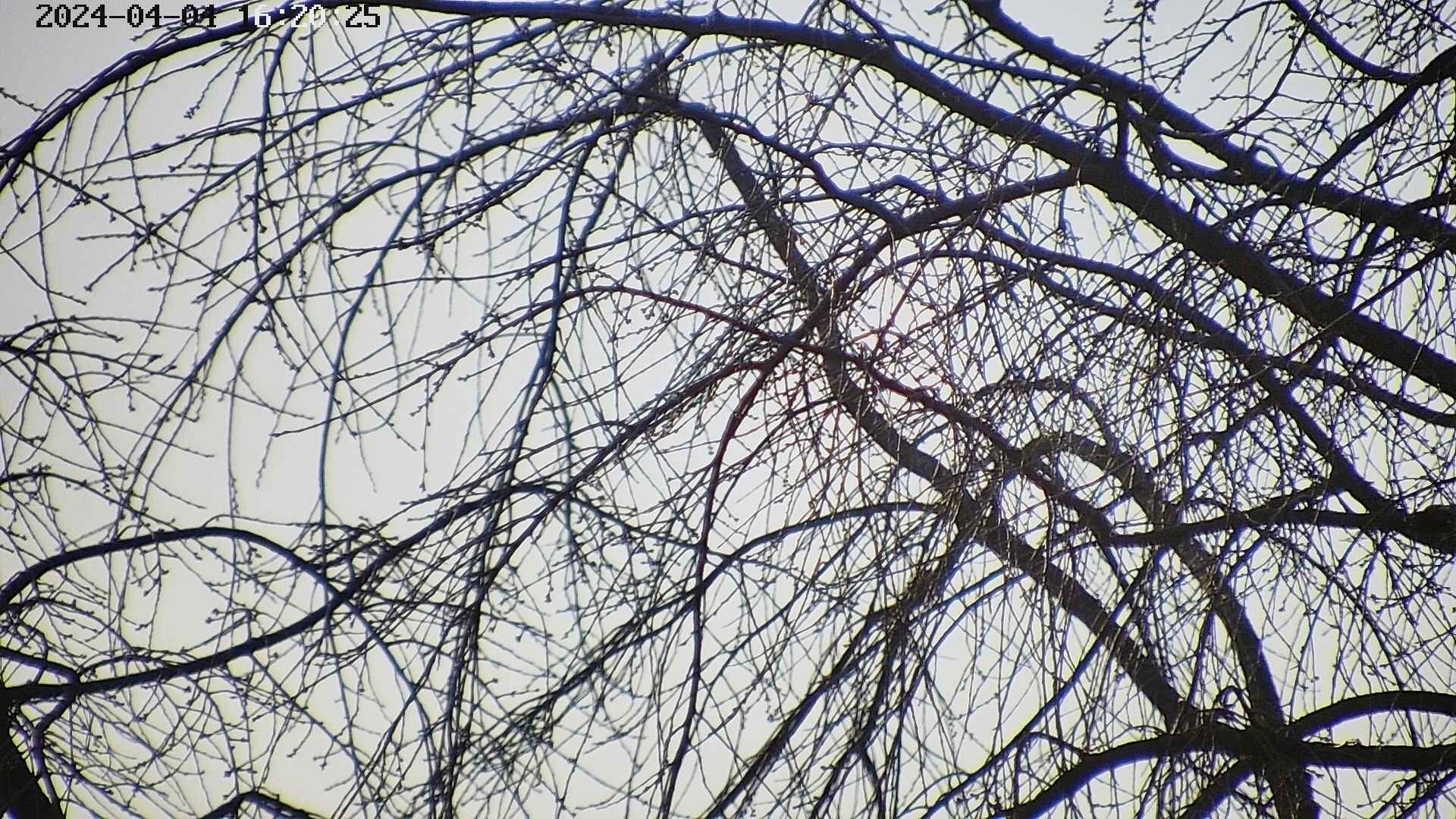 area3-20240404162027.jpg