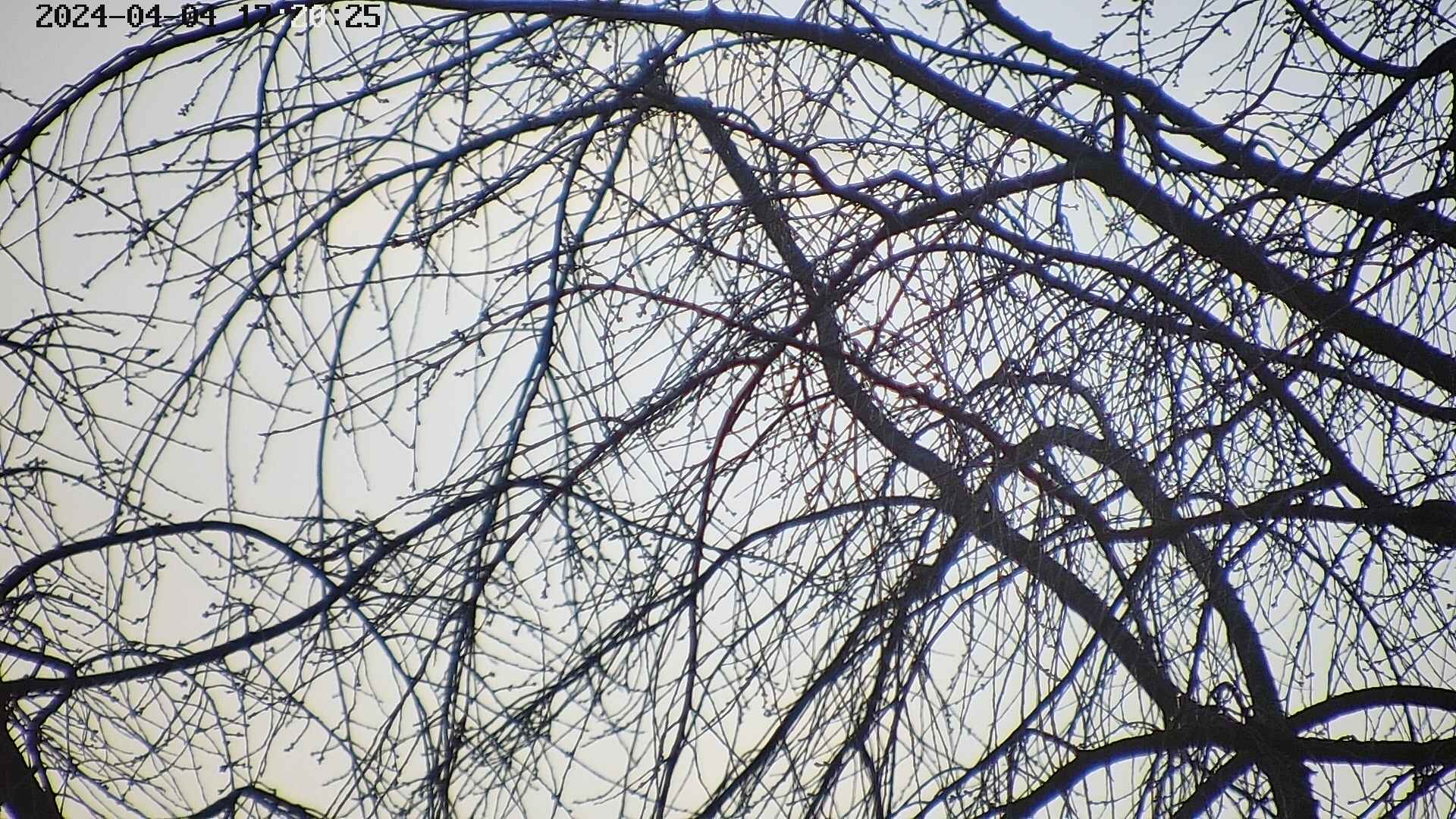 area3-20240404172027.jpg