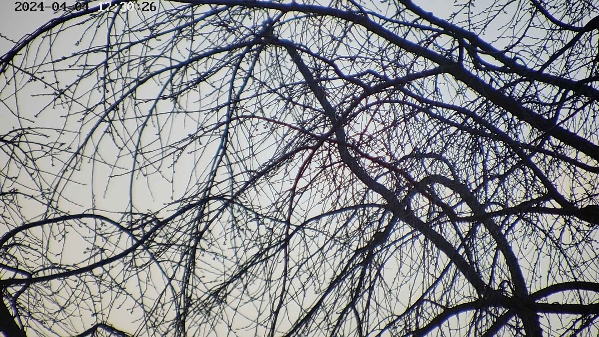 area3-20240404173028.jpg