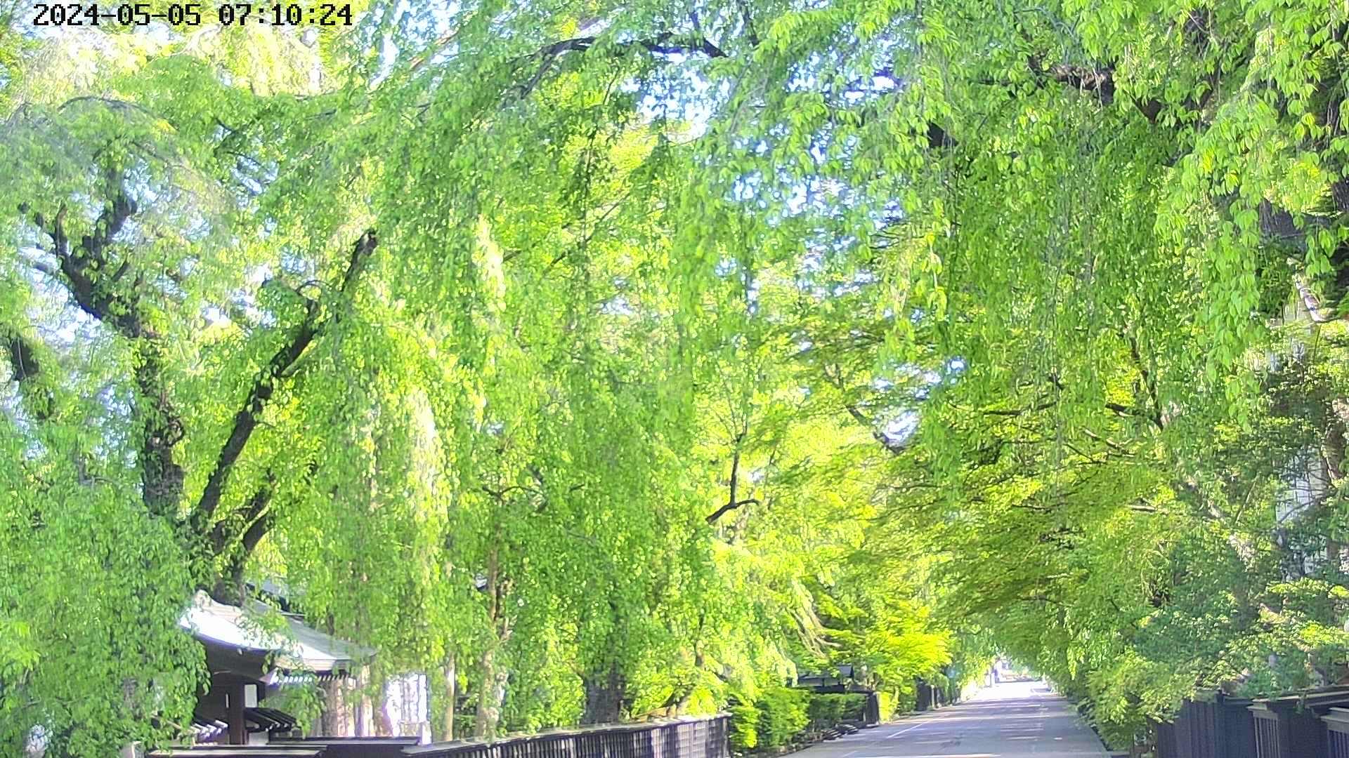 area3-20240505071026.jpg