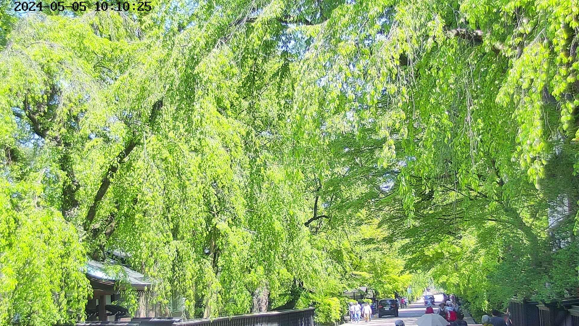 area3-20240505101028.jpg
