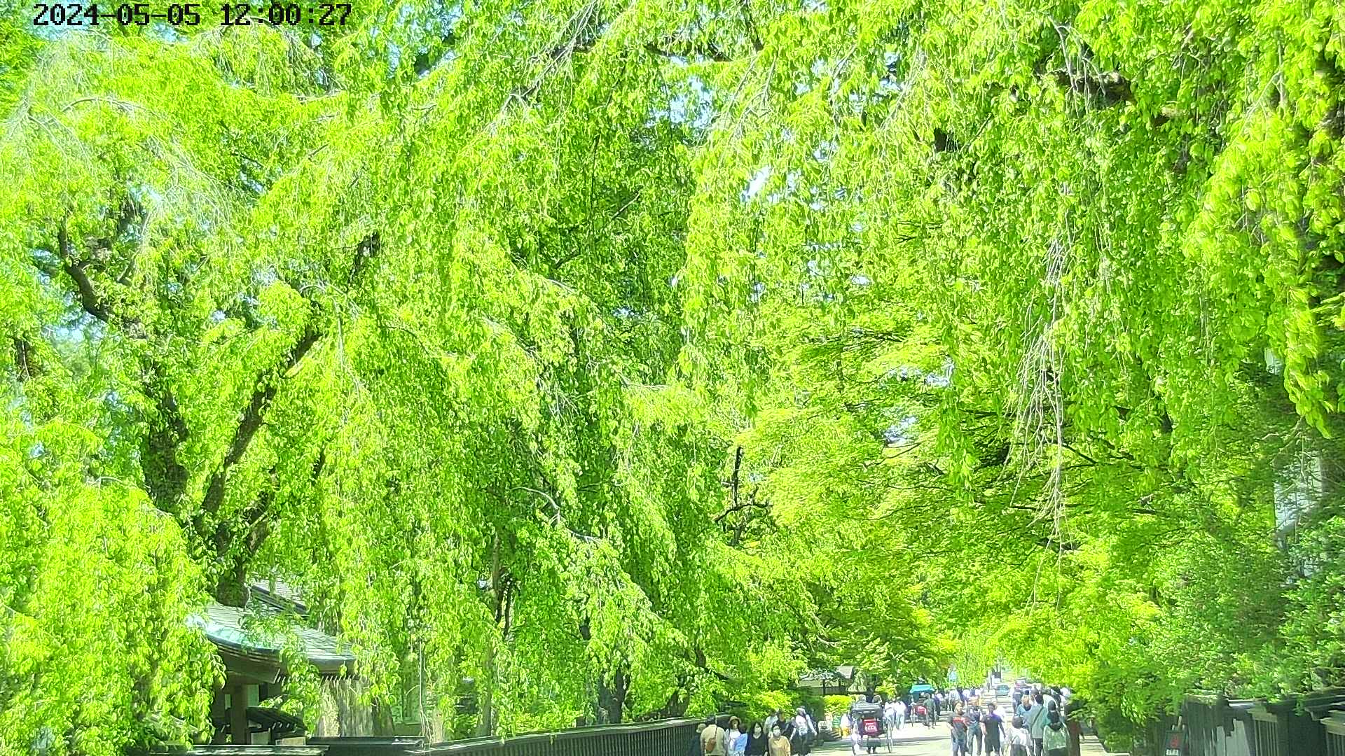 area3-20240505120027.jpg