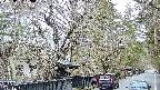 area3-20250402120026.jpg