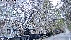 area3-20250402175027.jpg
