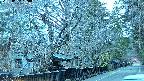 area3-20250402180028.jpg