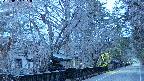 area3-20250402181027.jpg