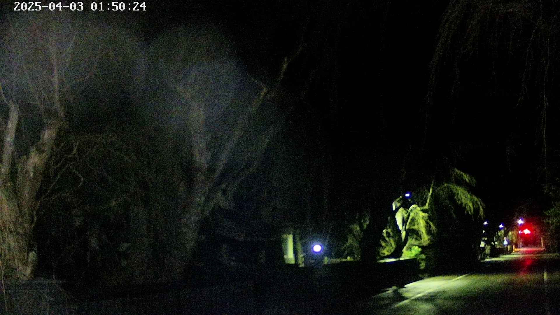 area3-20250403015026.jpg