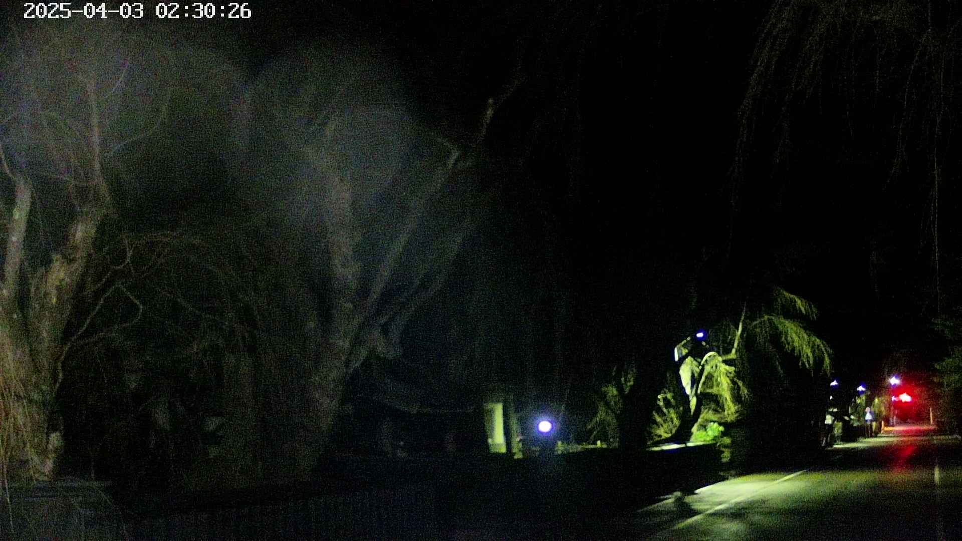 area3-20250403023029.jpg
