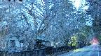 area3-20250403050028.jpg