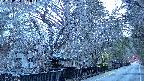 area3-20250403051028.jpg