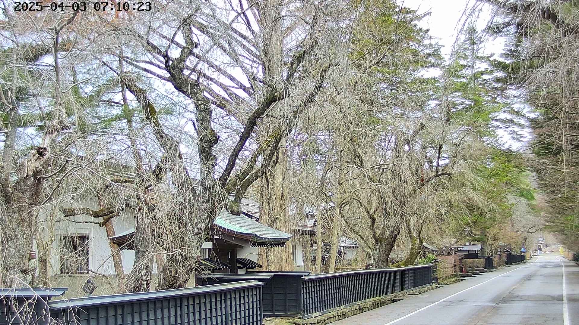 area3-20250403071027.jpg