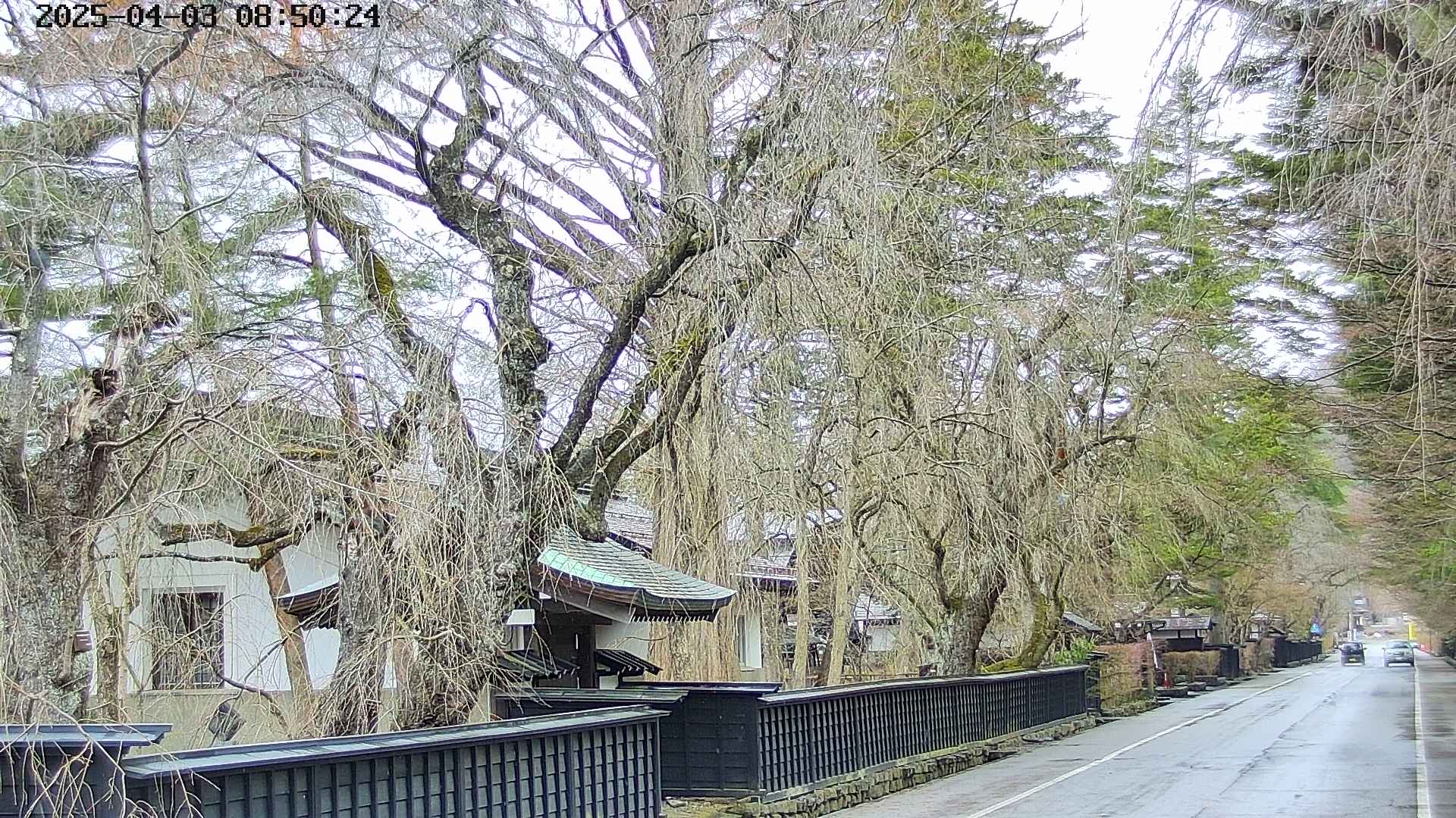 area3-20250403085028.jpg