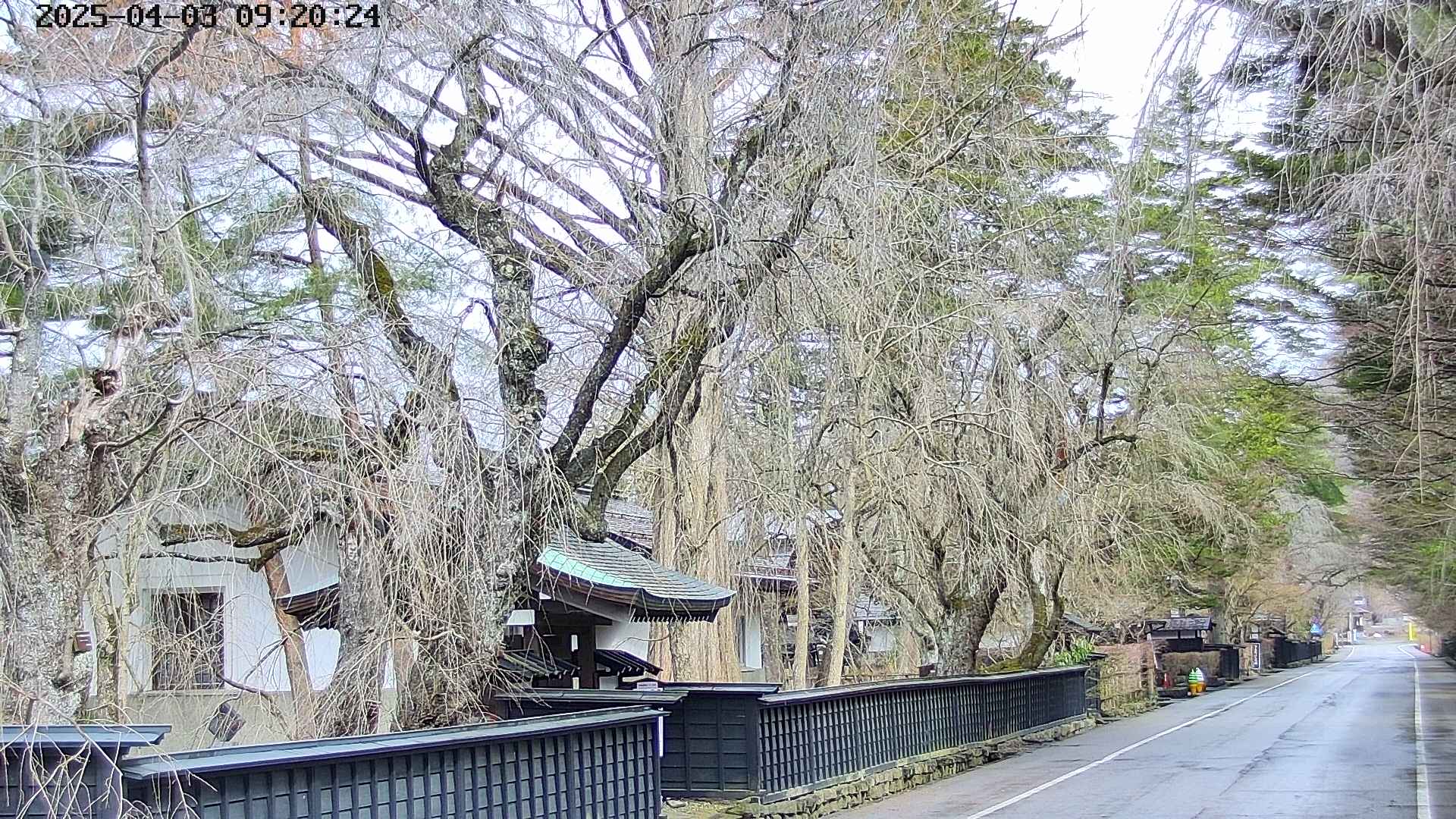 area3-20250403092029.jpg