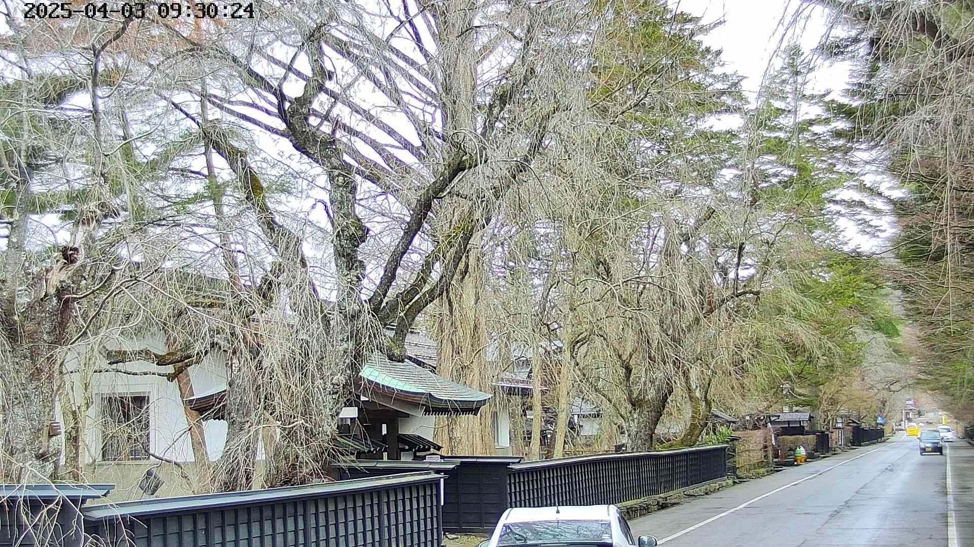 area3-20250403093028.jpg