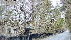 area3-20250403120031.jpg