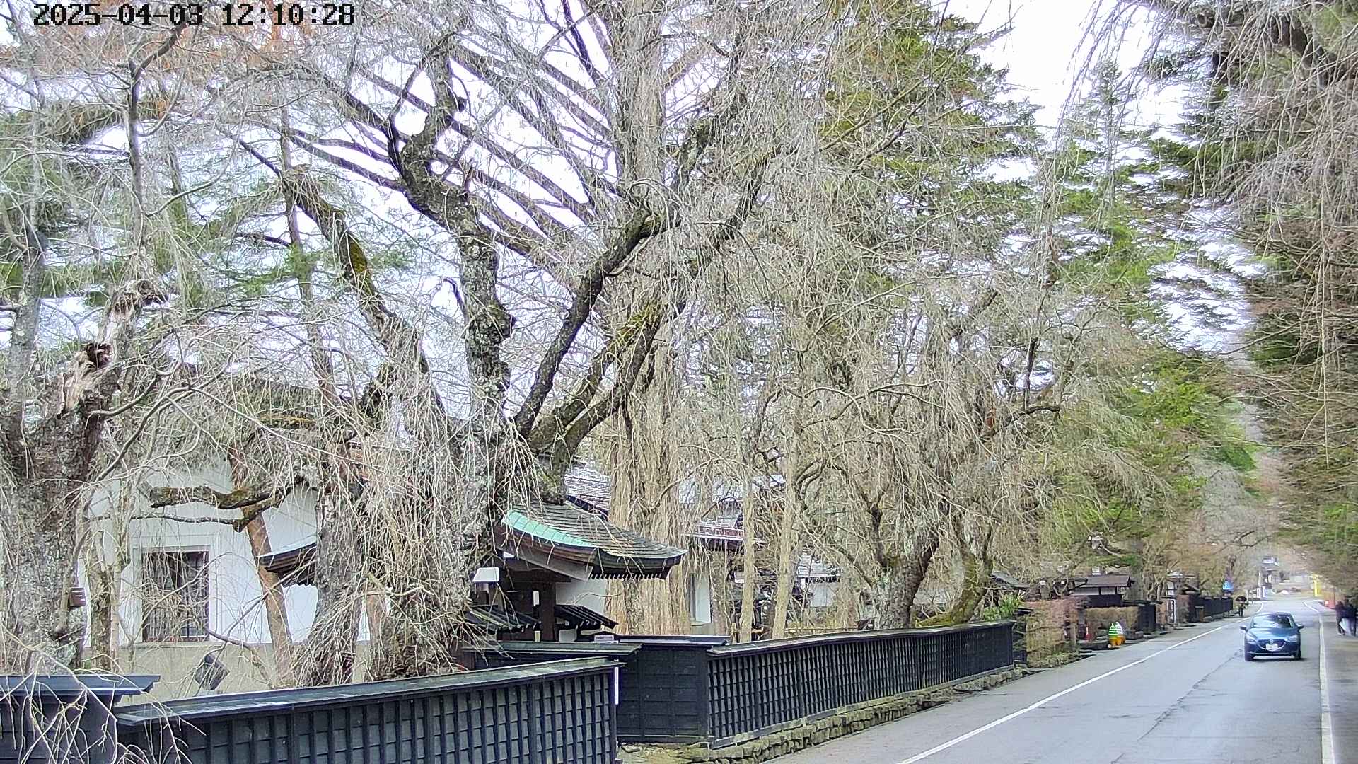 area3-20250403121029.jpg