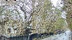 area3-20250403134030.jpg