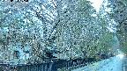 area3-20250403175028.jpg