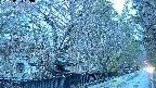 area3-20250403180030.jpg