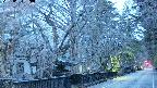 area3-20250404050029.jpg