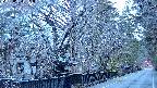 area3-20250404051027.jpg