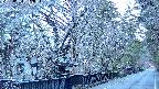area3-20250404052028.jpg