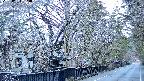 area3-20250404053029.jpg