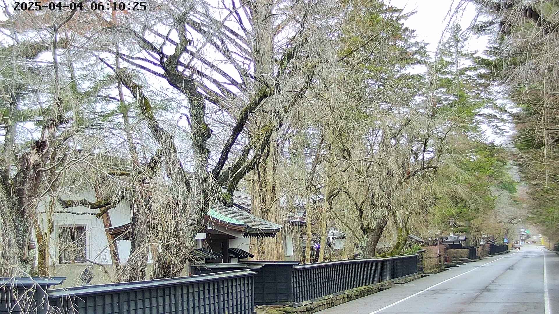 area3-20250404061029.jpg