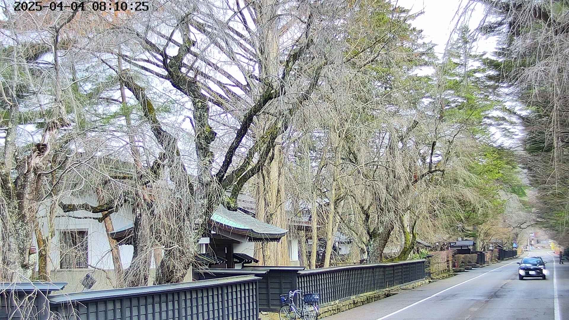 area3-20250404081030.jpg